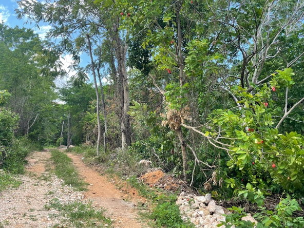 Third image of 19g Land Part of Dumbarton in Discovery Bay, St. Ann, Jamaica - property is For Sale