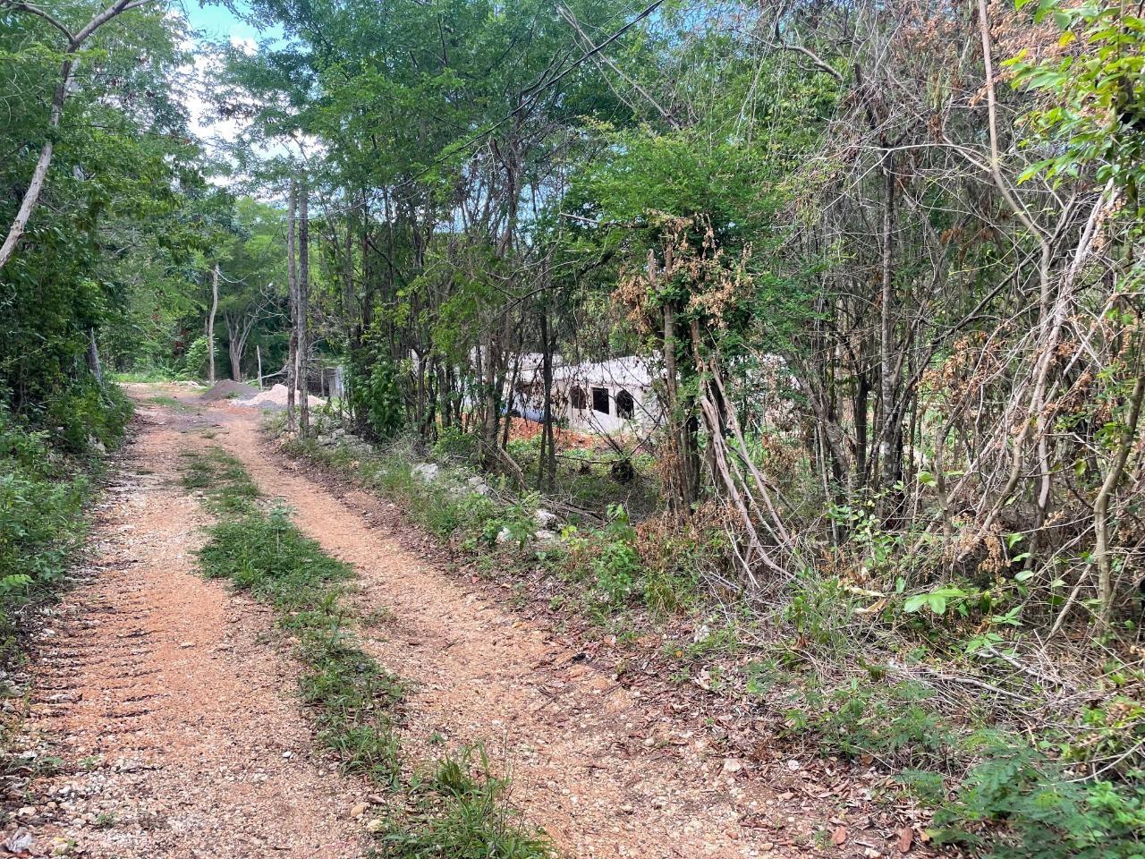 Fourth image of 19g Land Part of Dumbarton in Discovery Bay, St. Ann, Jamaica - property is For Sale