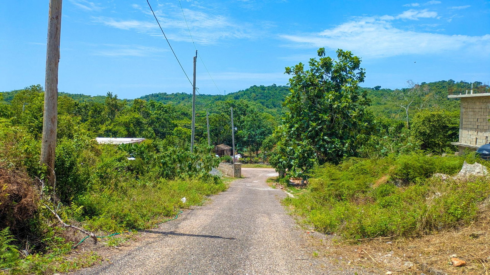 Sixteenth image of Brown's Town in Browns Town, St. Ann, Jamaica - property is For Sale