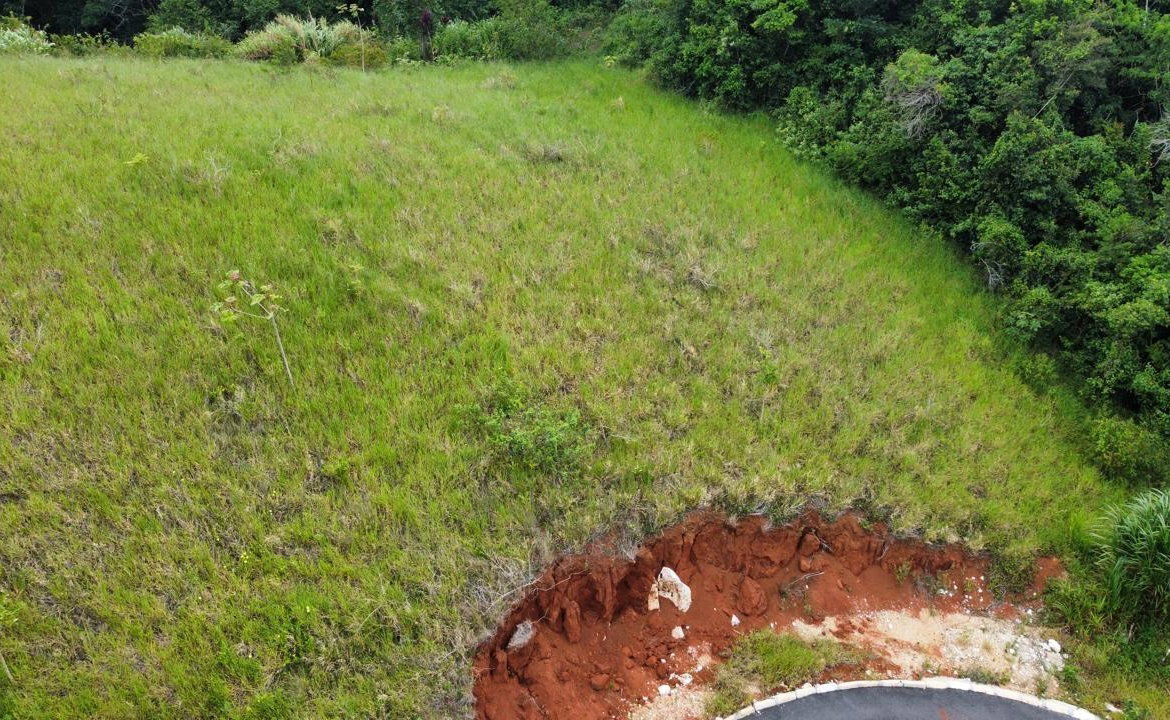 Eleventh image of Lot 6 Masons Run Hatfield in Hatfield, Manchester, Jamaica - property is For Sale