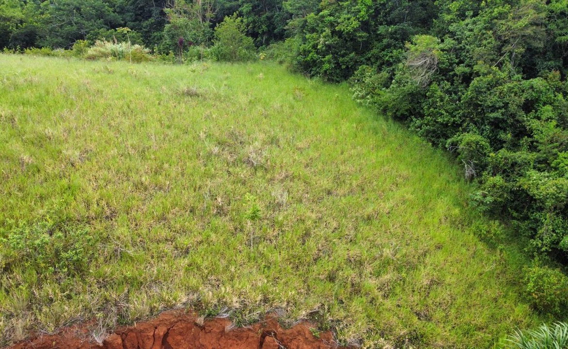 Twelfth image of Lot 6 Masons Run Hatfield in Hatfield, Manchester, Jamaica - property is For Sale