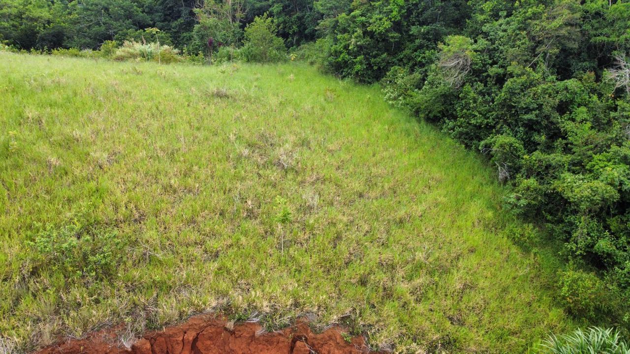 Residential-Lot-for-Sale-in-Hatfield-Manchester-Jamaica-Lot-6-Masons-Run Twelfth image of Lot 6 Masons Run Hatfield in Hatfield, Manchester, Jamaica - property is For Sale