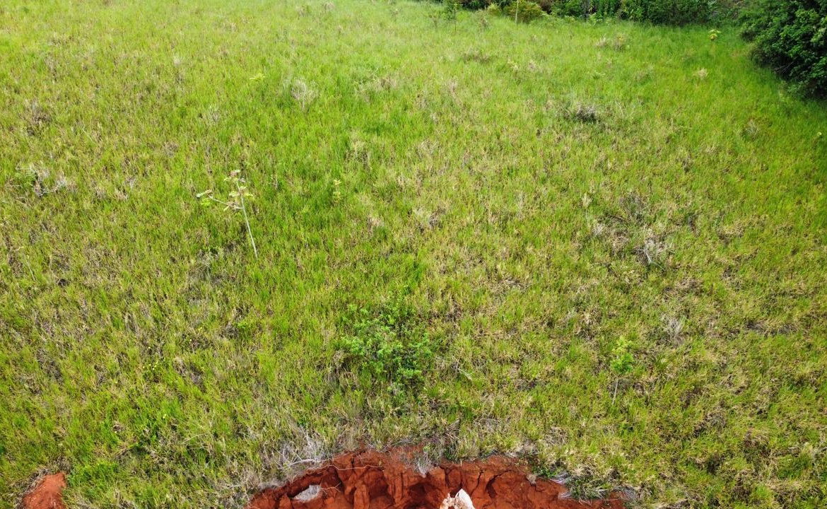 Thirteenth image of Lot 6 Masons Run Hatfield in Hatfield, Manchester, Jamaica - property is For Sale