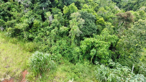 Fourteenth image of Lot 6 Masons Run Hatfield in Hatfield, Manchester, Jamaica - property is For Sale