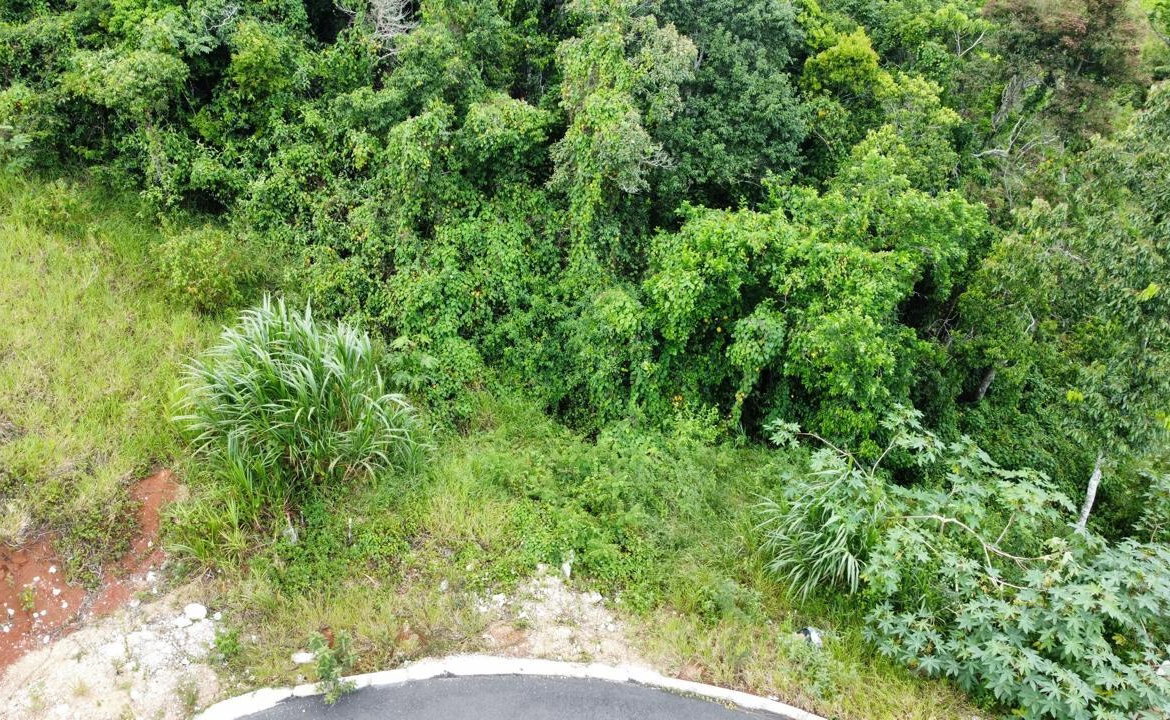 Sixteenth image of Lot 6 Masons Run Hatfield in Hatfield, Manchester, Jamaica - property is For Sale