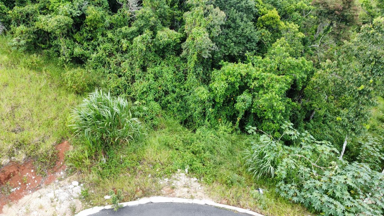 Residential-Lot-for-Sale-in-Hatfield-Manchester-Jamaica-Lot-6-Masons-Run Sixteenth image of Lot 6 Masons Run Hatfield in Hatfield, Manchester, Jamaica - property is For Sale