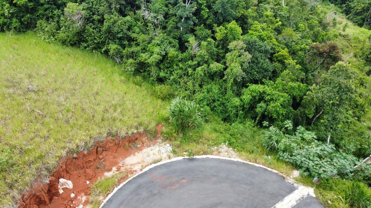Residential-Lot-for-Sale-in-Hatfield-Manchester-Jamaica-Lot-6-Masons-Run Fourth image of Lot 6 Masons Run Hatfield in Hatfield, Manchester, Jamaica - property is For Sale