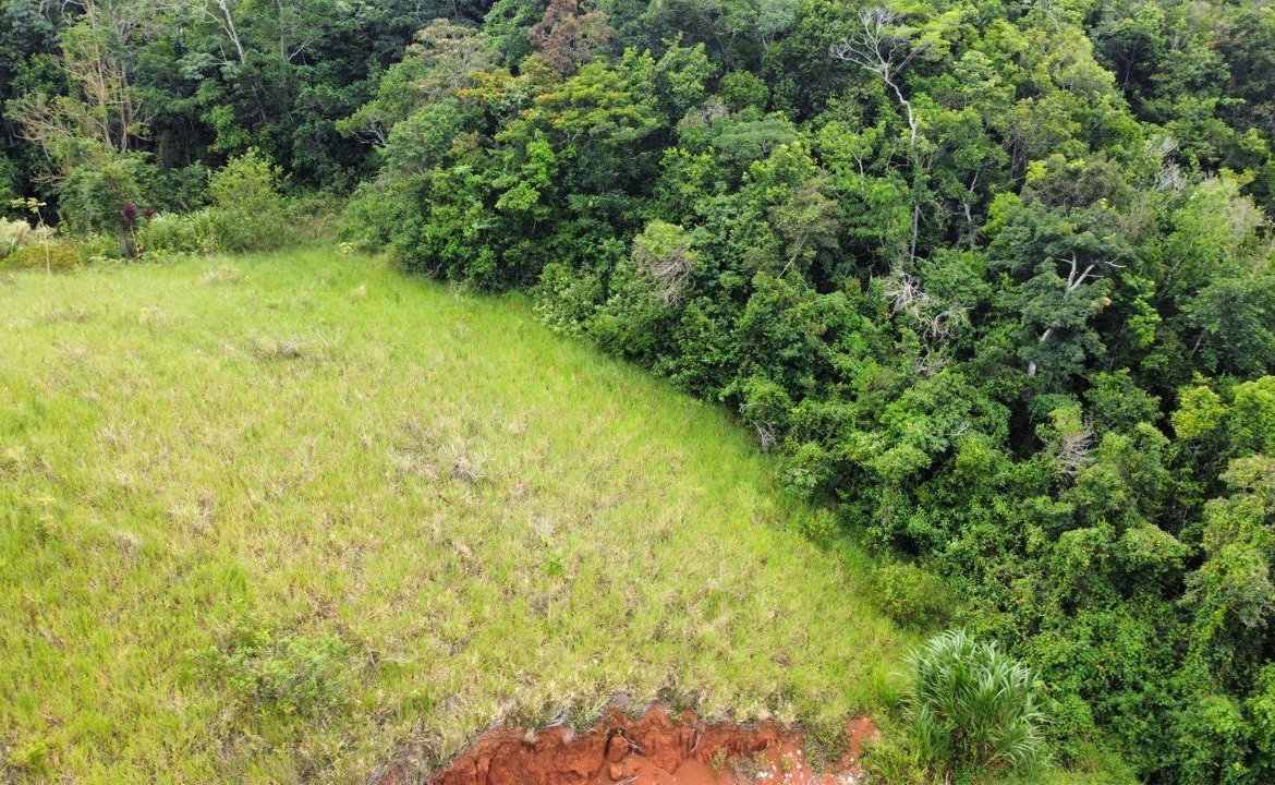 Fifth image of Lot 6 Masons Run Hatfield in Hatfield, Manchester, Jamaica - property is For Sale