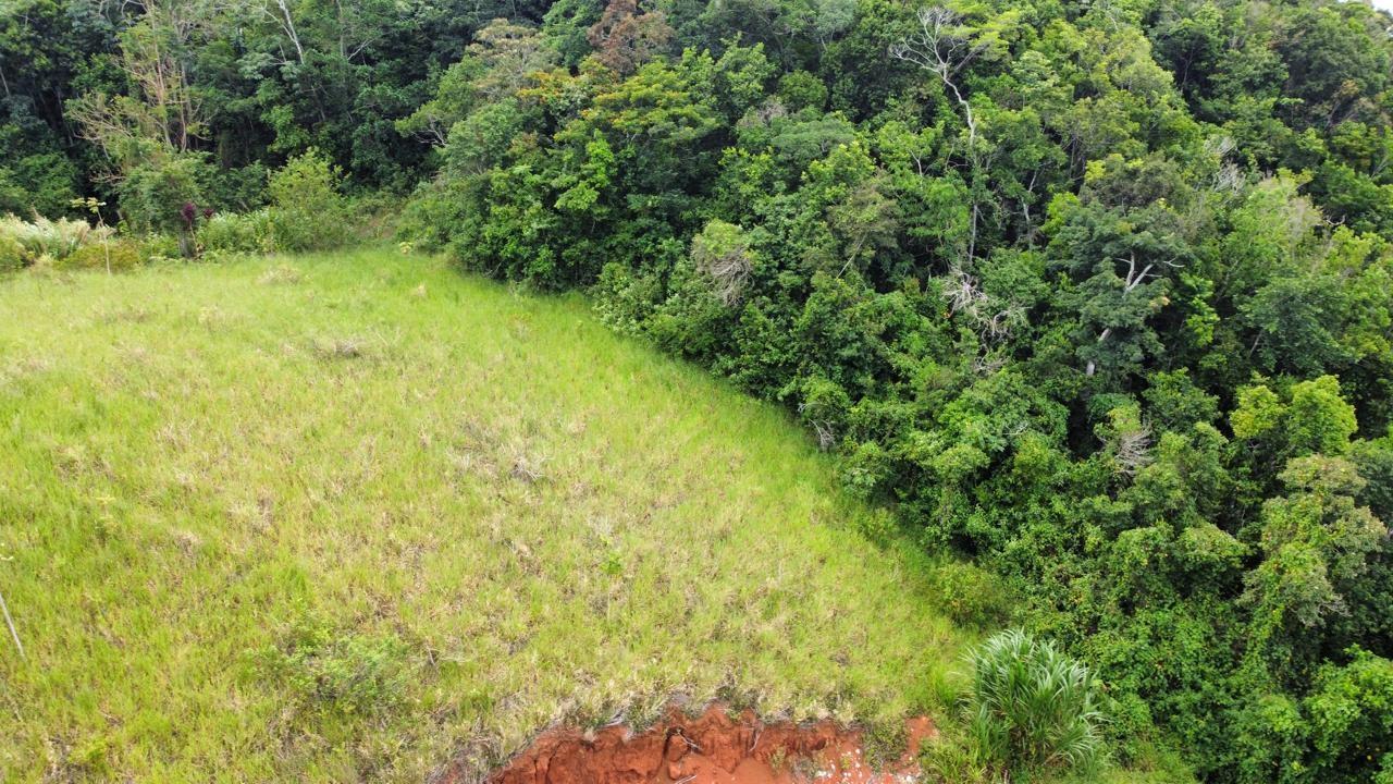 Residential-Lot-for-Sale-in-Hatfield-Manchester-Jamaica-Lot-6-Masons-Run Fifth image of Lot 6 Masons Run Hatfield in Hatfield, Manchester, Jamaica - property is For Sale