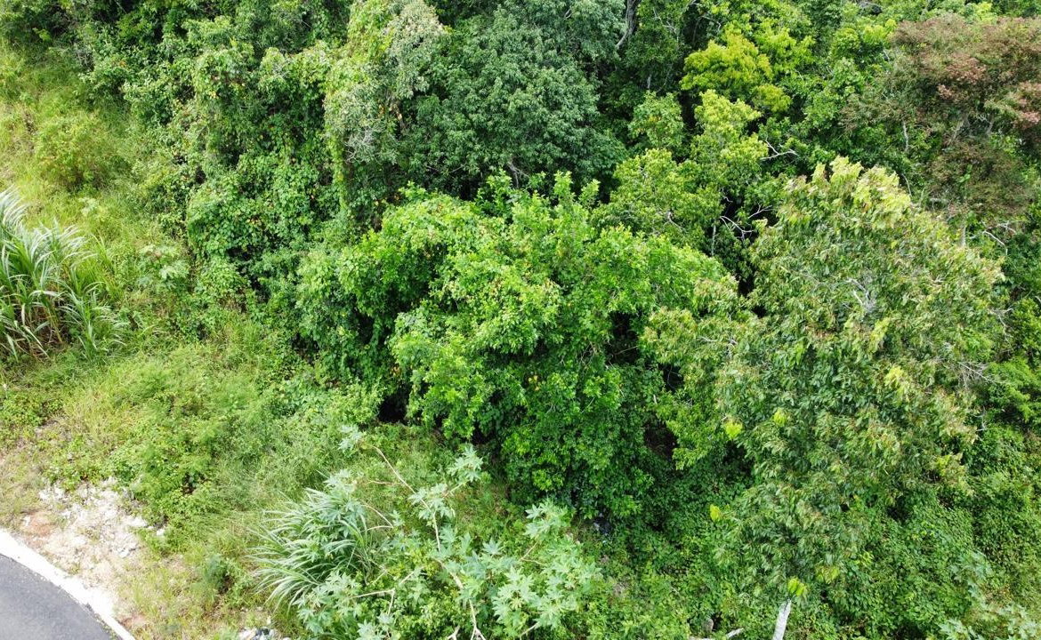Sixth image of Lot 6 Masons Run Hatfield in Hatfield, Manchester, Jamaica - property is For Sale