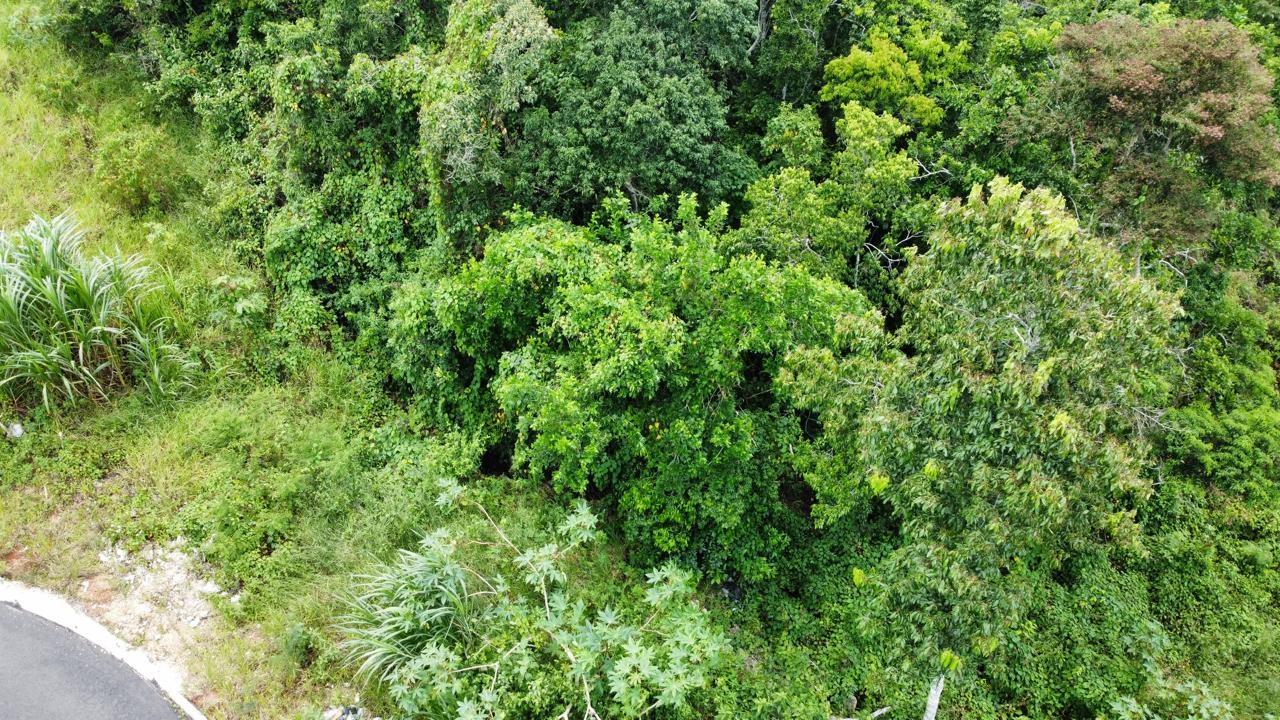 Residential-Lot-for-Sale-in-Hatfield-Manchester-Jamaica-Lot-6-Masons-Run Sixth image of Lot 6 Masons Run Hatfield in Hatfield, Manchester, Jamaica - property is For Sale
