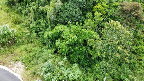 Sixth image of Lot 6 Masons Run Hatfield in Hatfield, Manchester, Jamaica - property is For Sale
