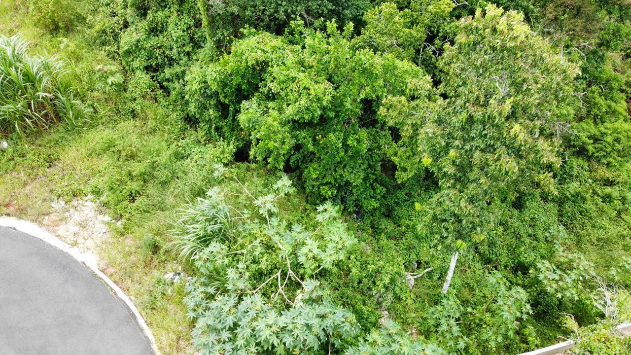 Residential-Lot-for-Sale-in-Hatfield-Manchester-Jamaica-Lot-6-Masons-Run Seventh image of Lot 6 Masons Run Hatfield in Hatfield, Manchester, Jamaica - property is For Sale
