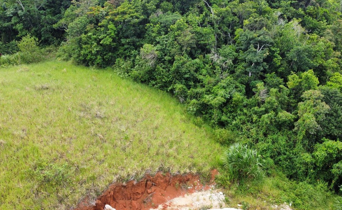 Eighth image of Lot 6 Masons Run Hatfield in Hatfield, Manchester, Jamaica - property is For Sale