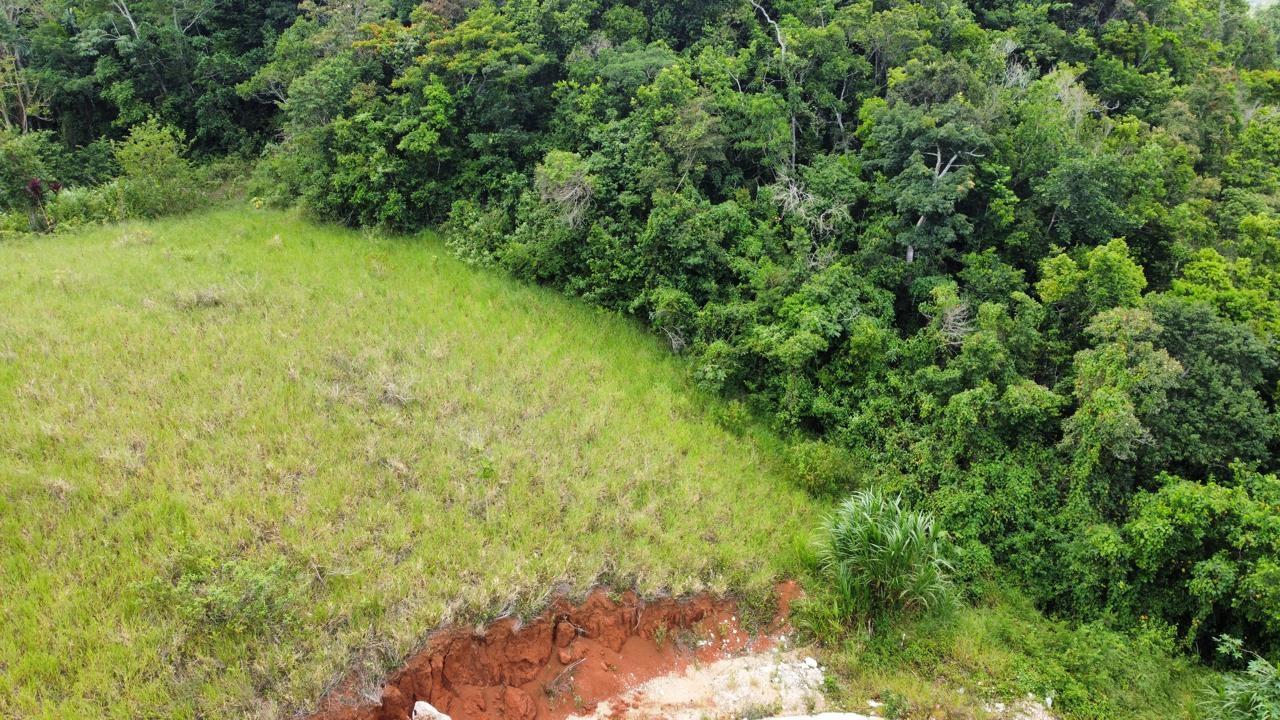 Residential-Lot-for-Sale-in-Hatfield-Manchester-Jamaica-Lot-6-Masons-Run Eighth image of Lot 6 Masons Run Hatfield in Hatfield, Manchester, Jamaica - property is For Sale