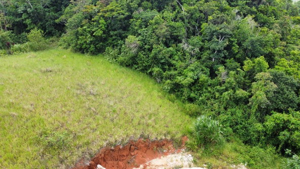 Eighth image of Lot 6 Masons Run Hatfield in Hatfield, Manchester, Jamaica - property is For Sale