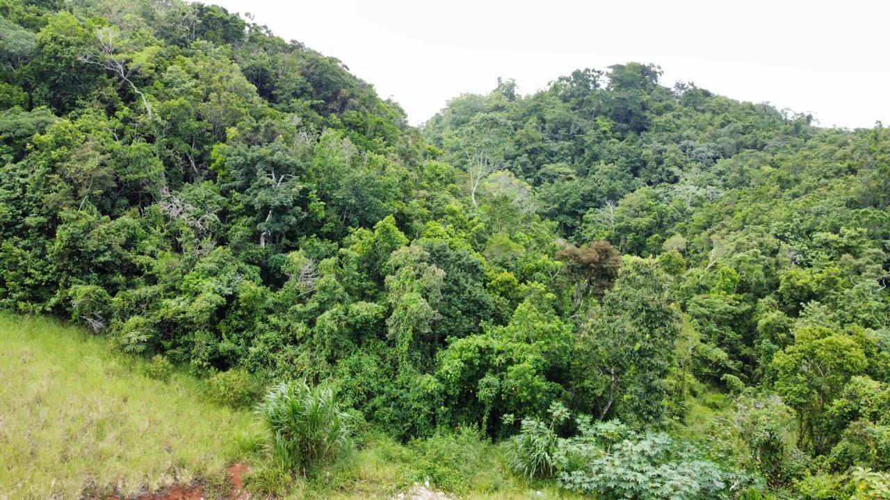 Residential-Lot-for-Sale-in-Hatfield-Manchester-Jamaica-Lot-6-Masons-Run Ninth image of Lot 6 Masons Run Hatfield in Hatfield, Manchester, Jamaica - property is For Sale