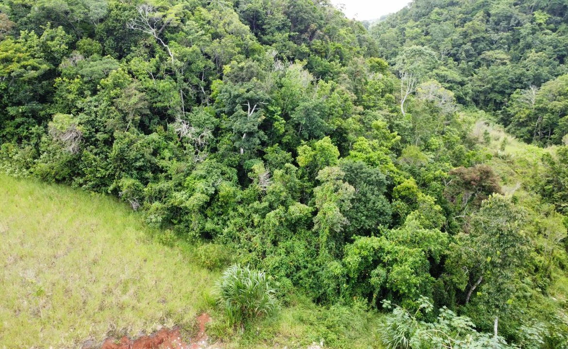 Tenth image of Lot 6 Masons Run Hatfield in Hatfield, Manchester, Jamaica - property is For Sale