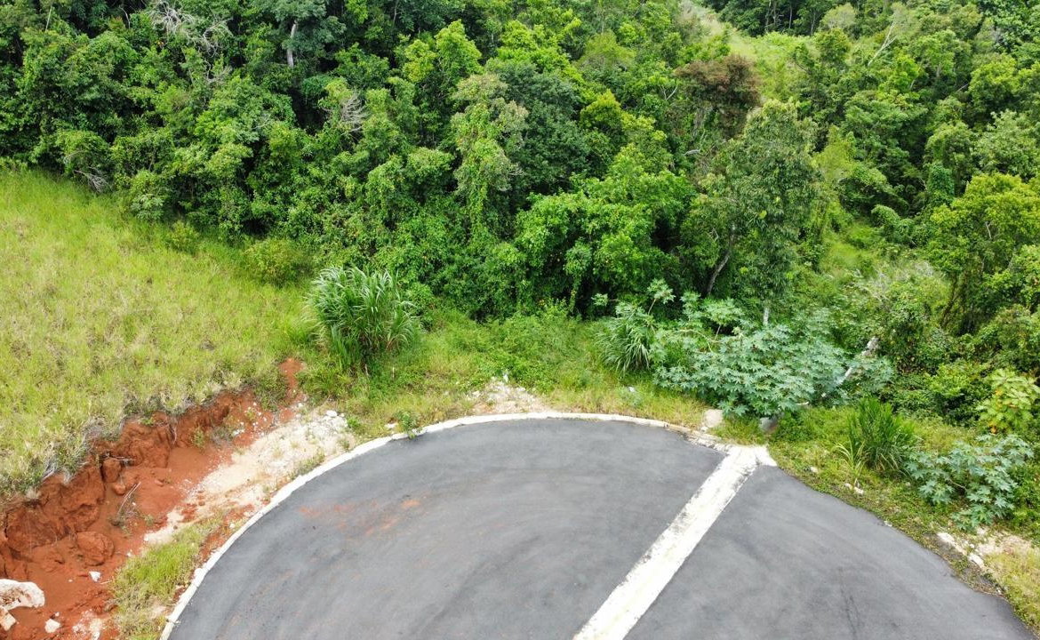 Fourth image of Lot 9 Masons Run Hatfield in Hatfield, Manchester, Jamaica - property is For Sale