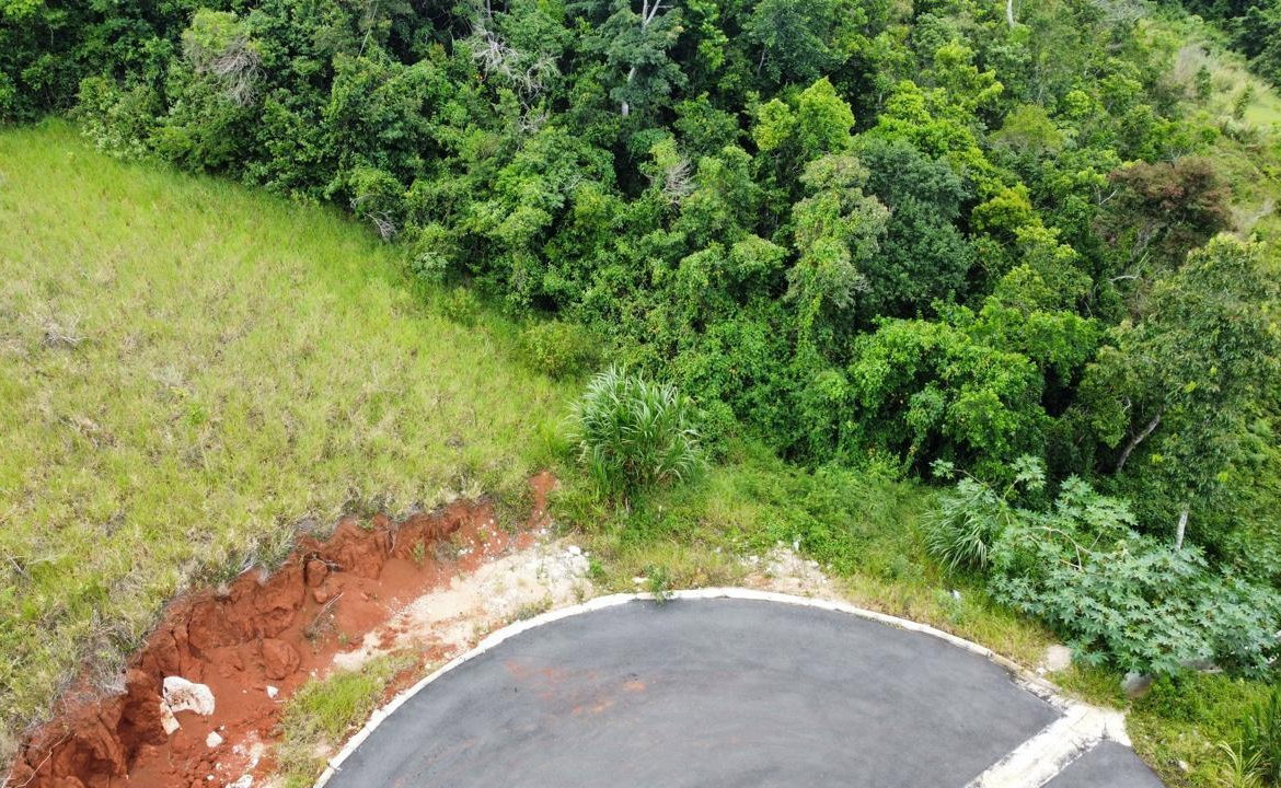 Fifth image of Lot 9 Masons Run Hatfield in Hatfield, Manchester, Jamaica - property is For Sale
