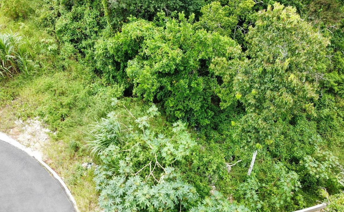 Sixth image of Lot 9 Masons Run Hatfield in Hatfield, Manchester, Jamaica - property is For Sale