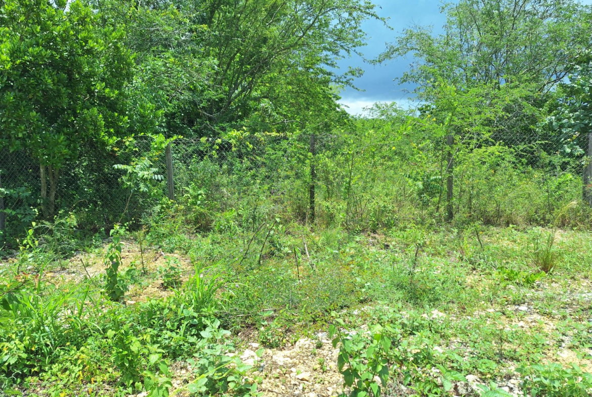 Eleventh image of Hyde Park in Bog Walk, St. Catherine, Jamaica - property is For Sale