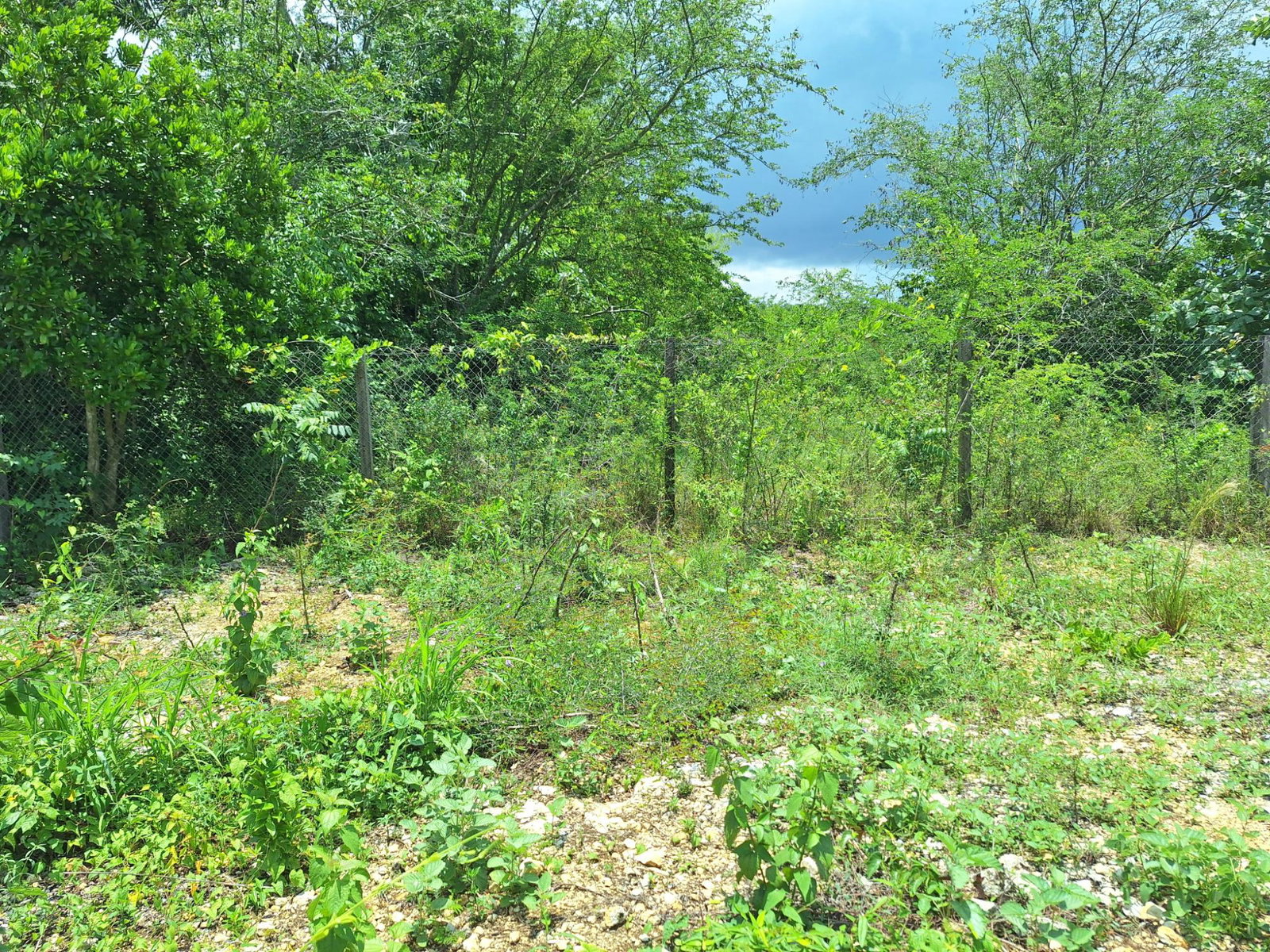 Eleventh image of Hyde Park in Bog Walk, St. Catherine, Jamaica - property is For Sale