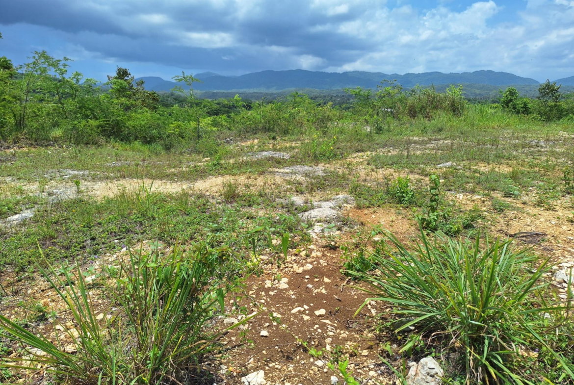 Twelfth image of Hyde Park in Bog Walk, St. Catherine, Jamaica - property is For Sale