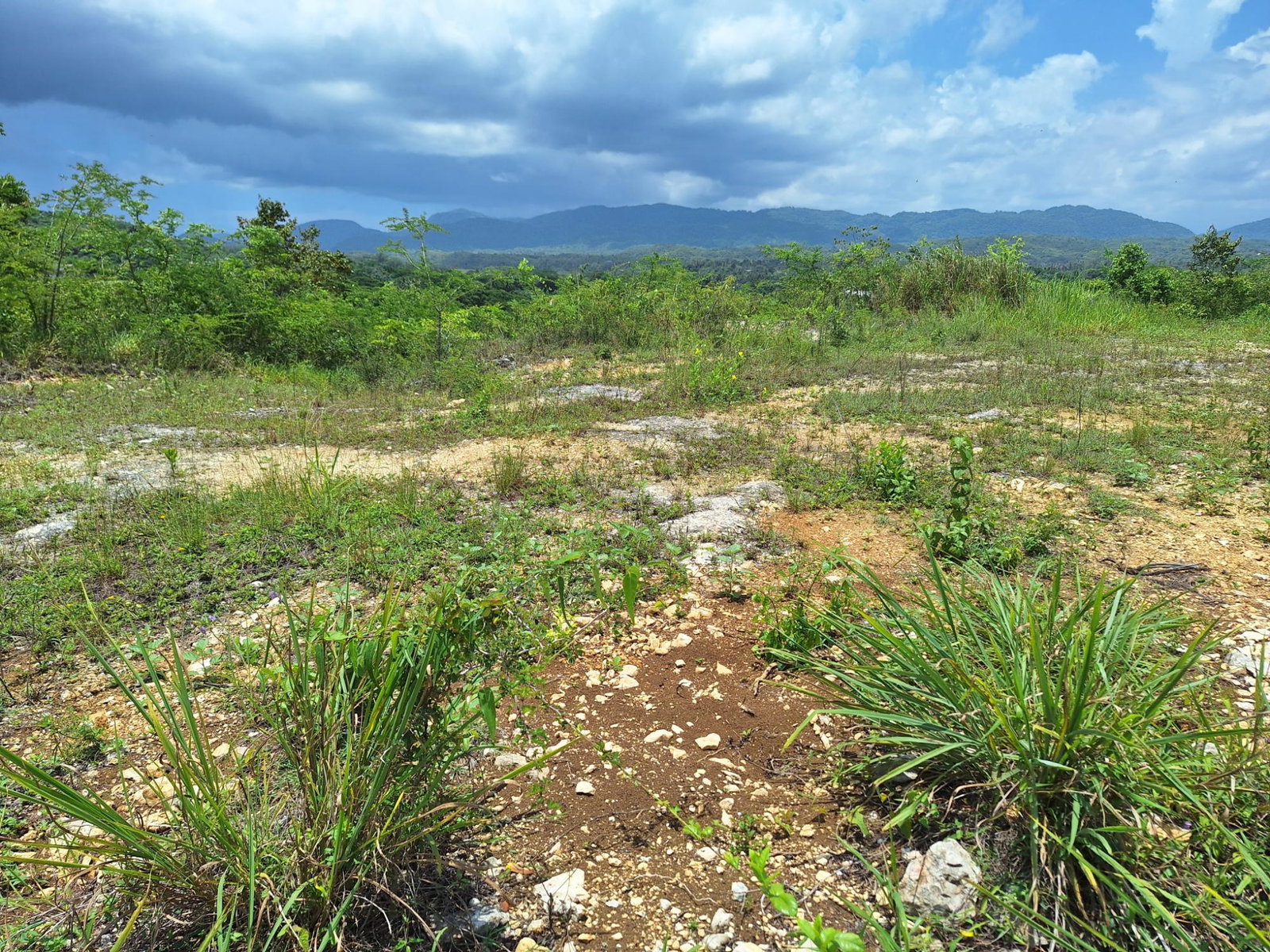 Twelfth image of Hyde Park in Bog Walk, St. Catherine, Jamaica - property is For Sale