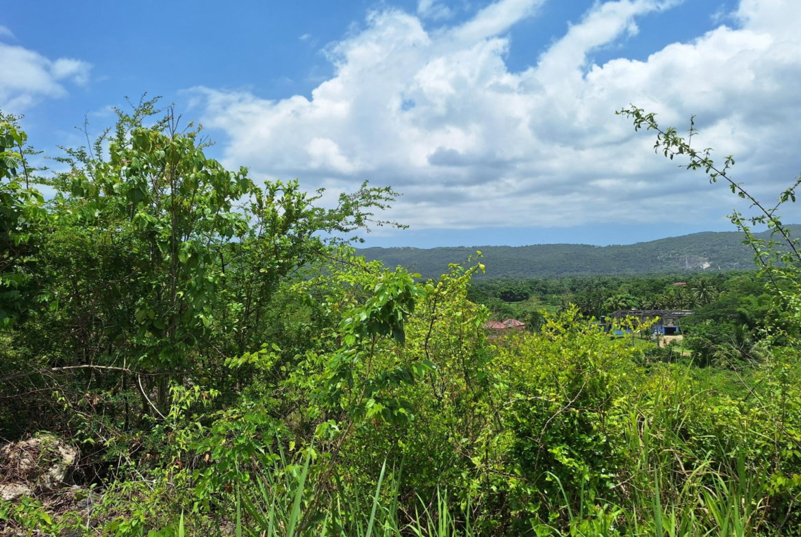 Thirteenth image of Hyde Park in Bog Walk, St. Catherine, Jamaica - property is For Sale