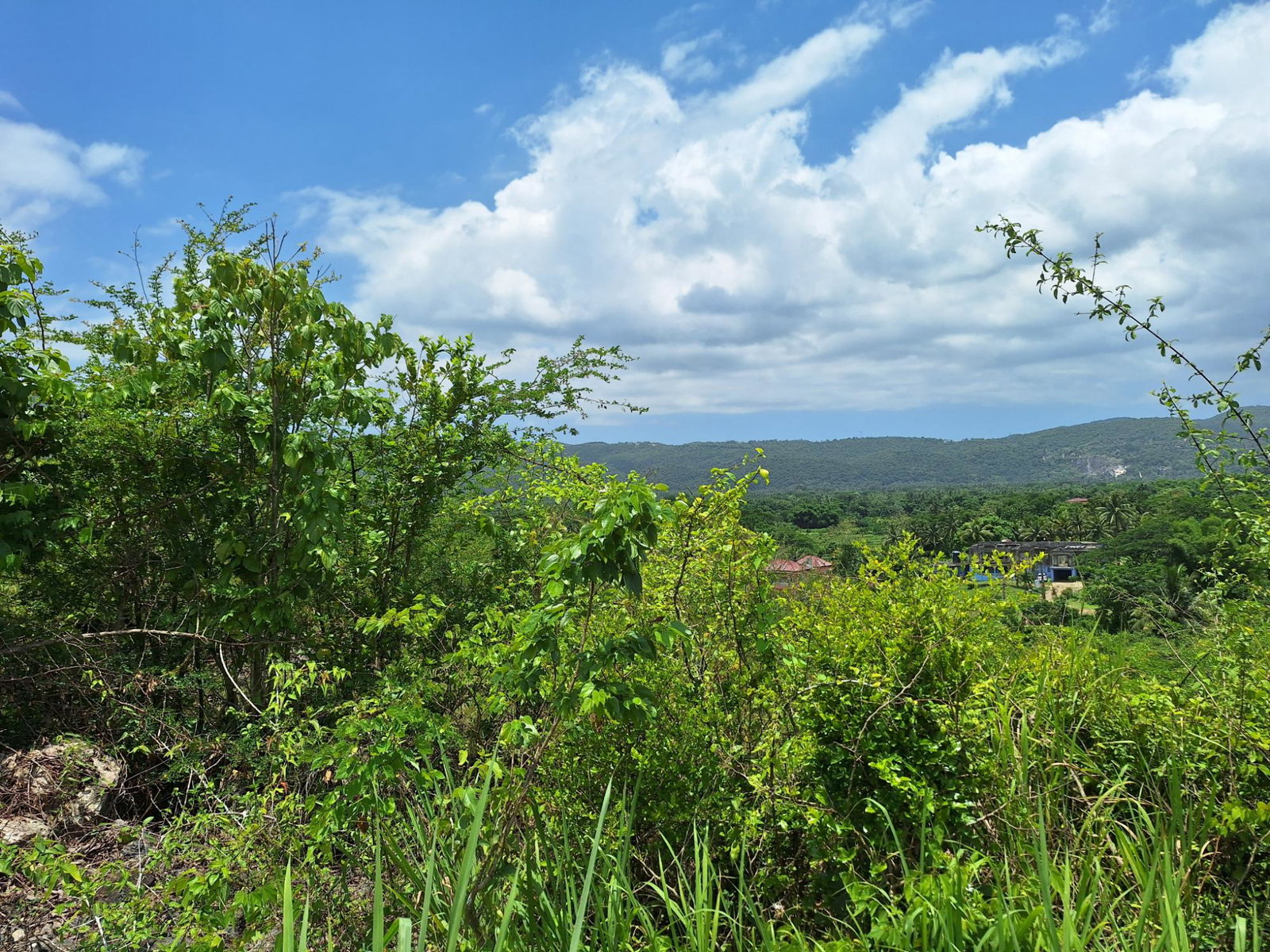 Thirteenth image of Hyde Park in Bog Walk, St. Catherine, Jamaica - property is For Sale