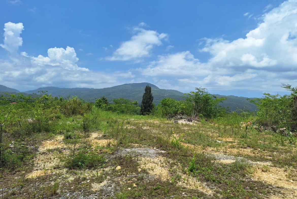 Fourteenth image of Hyde Park in Bog Walk, St. Catherine, Jamaica - property is For Sale