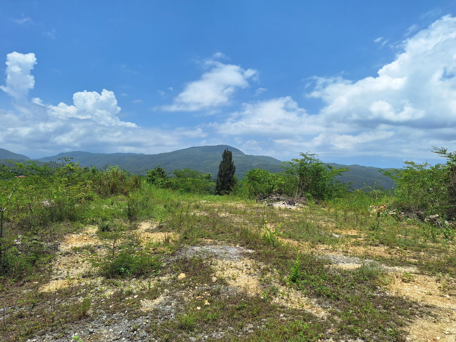Fourteenth image of Hyde Park in Bog Walk, St. Catherine, Jamaica - property is For Sale