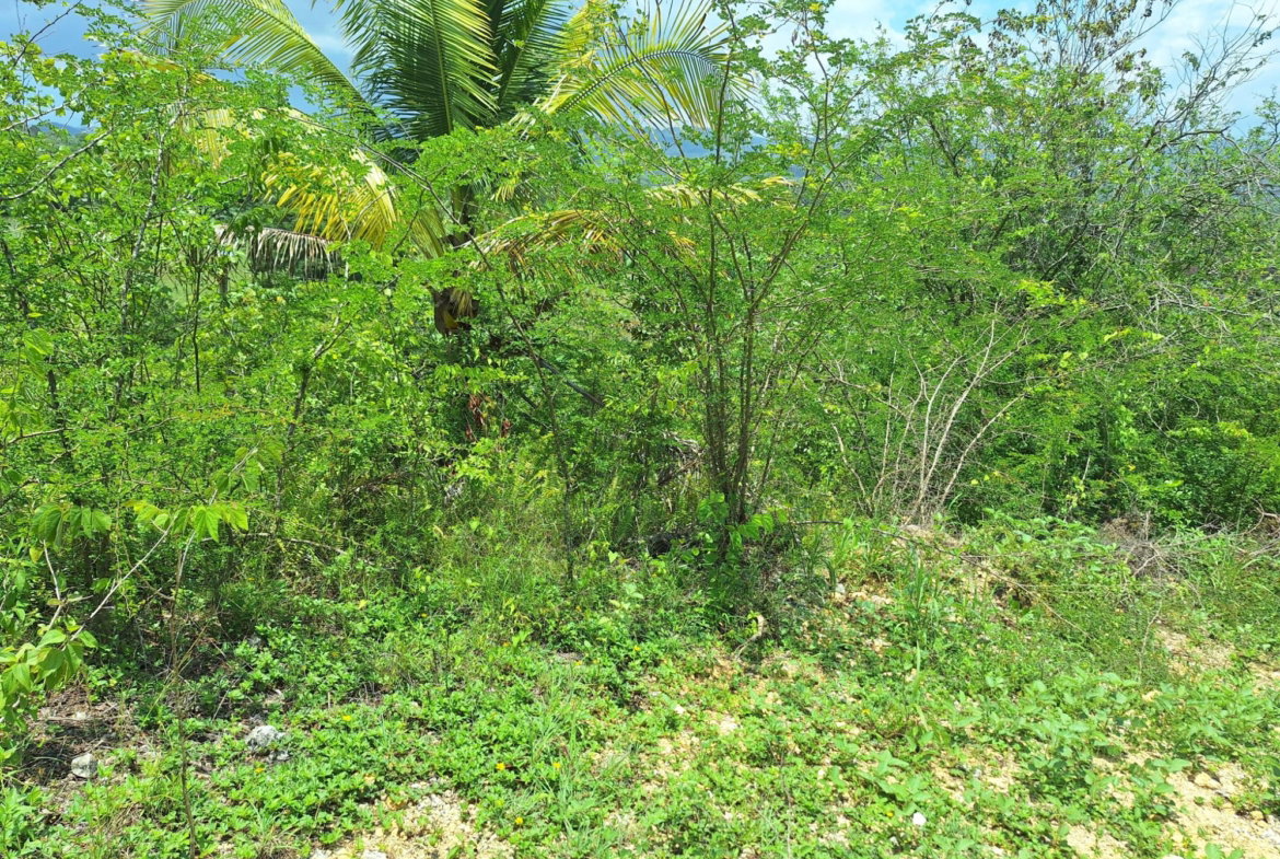 Fifteenth image of Hyde Park in Bog Walk, St. Catherine, Jamaica - property is For Sale