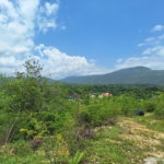 First image of Hyde Park in Bog Walk, St. Catherine, Jamaica - property is For Sale