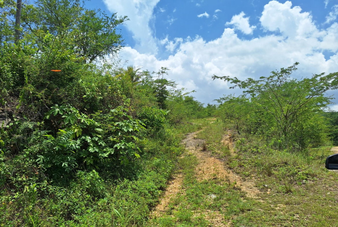 Third image of Hyde Park in Bog Walk, St. Catherine, Jamaica - property is For Sale