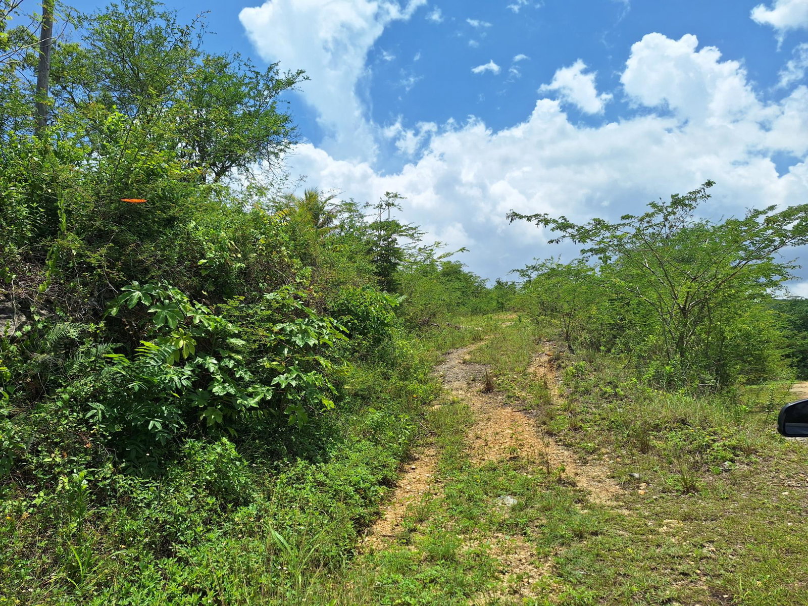 Third image of Hyde Park in Bog Walk, St. Catherine, Jamaica - property is For Sale