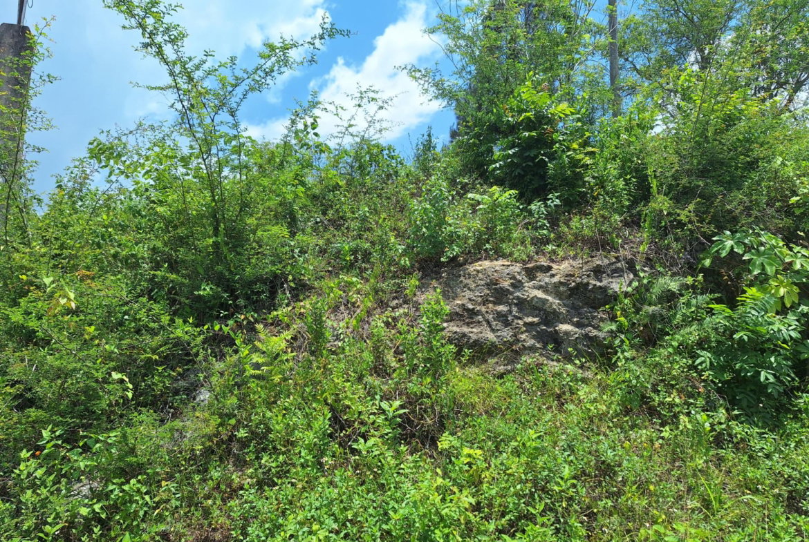 Fourth image of Hyde Park in Bog Walk, St. Catherine, Jamaica - property is For Sale