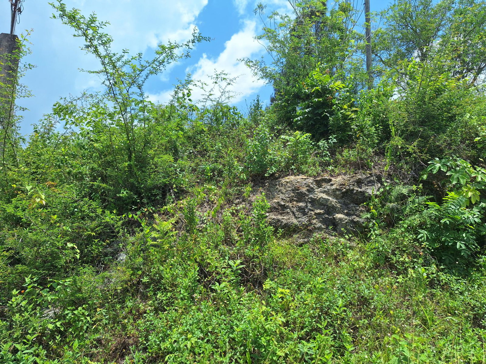Fourth image of Hyde Park in Bog Walk, St. Catherine, Jamaica - property is For Sale
