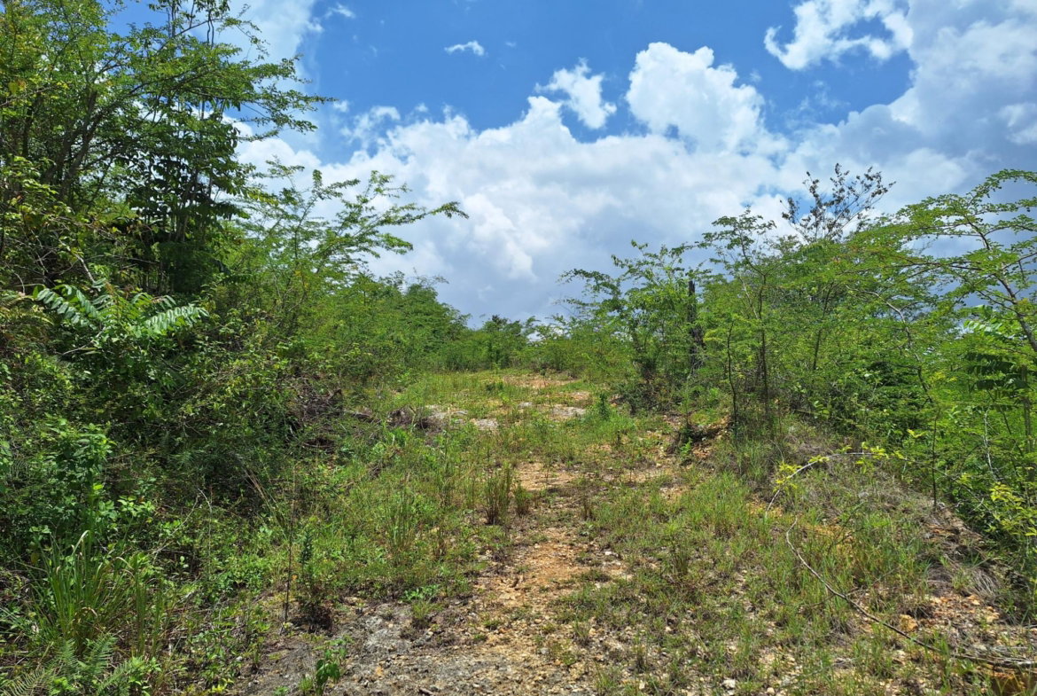 Fifth image of Hyde Park in Bog Walk, St. Catherine, Jamaica - property is For Sale