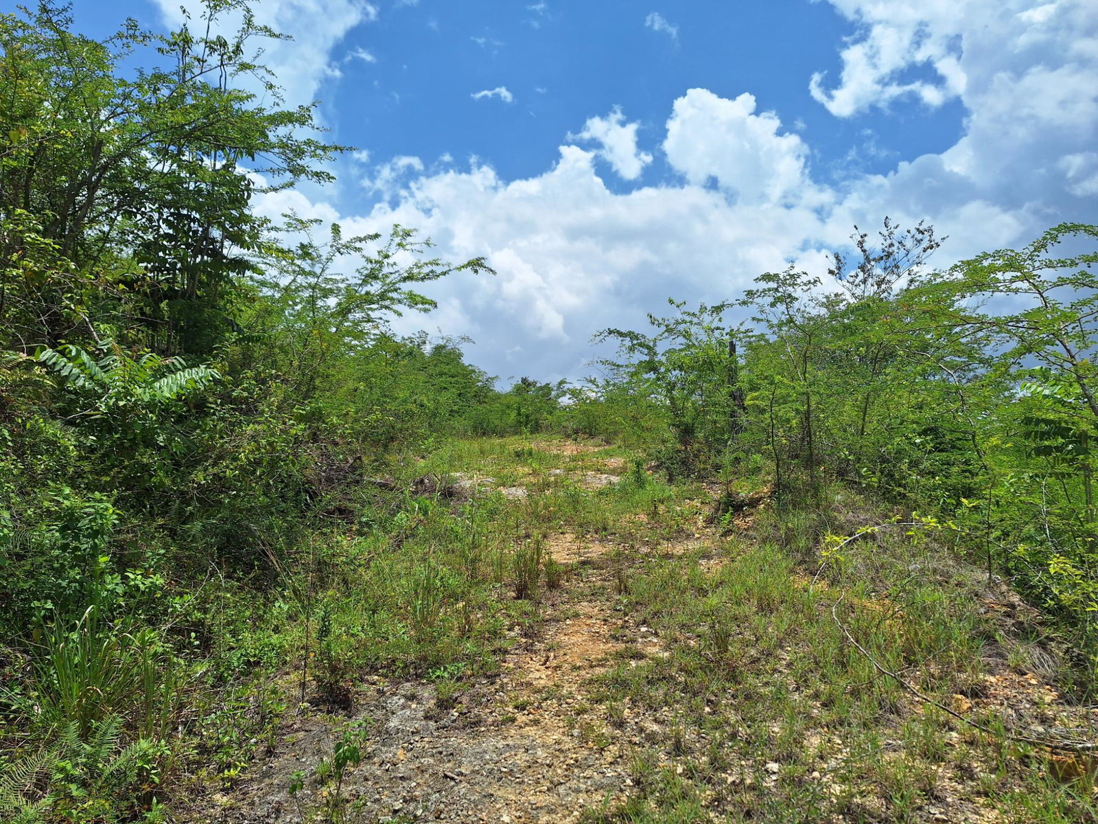 Fifth image of Hyde Park in Bog Walk, St. Catherine, Jamaica - property is For Sale