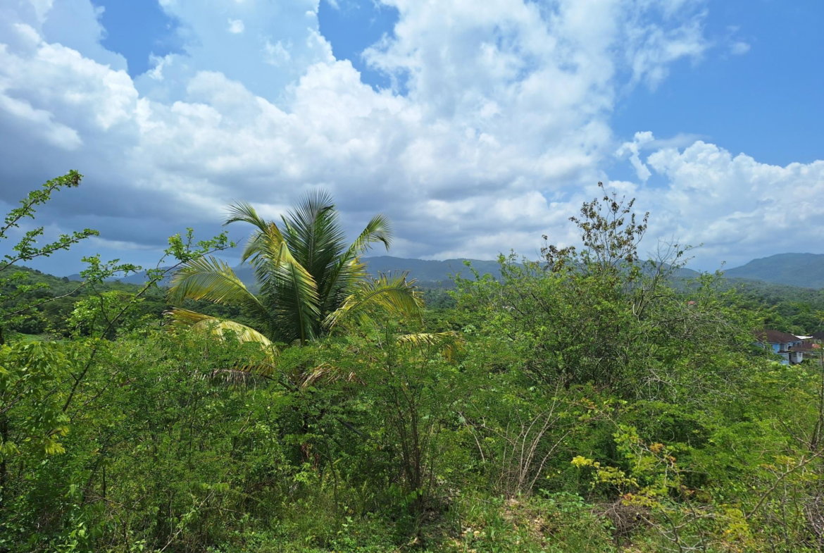 Sixth image of Hyde Park in Bog Walk, St. Catherine, Jamaica - property is For Sale
