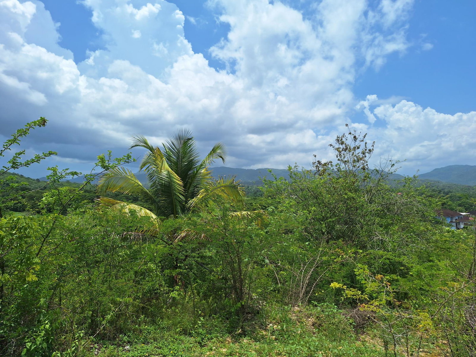 Sixth image of Hyde Park in Bog Walk, St. Catherine, Jamaica - property is For Sale