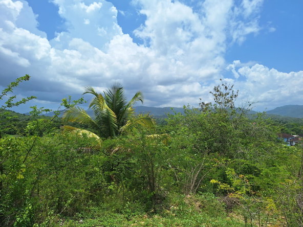 Sixth image of Hyde Park in Bog Walk, St. Catherine, Jamaica - property is For Sale