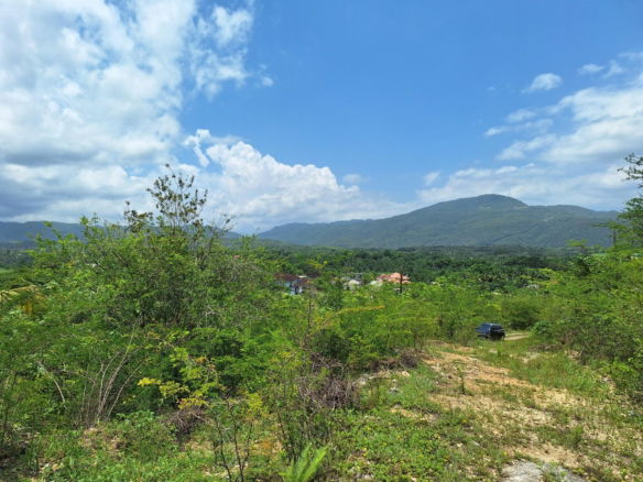 First image of Hyde Park in Bog Walk, St. Catherine, Jamaica - property is For Sale