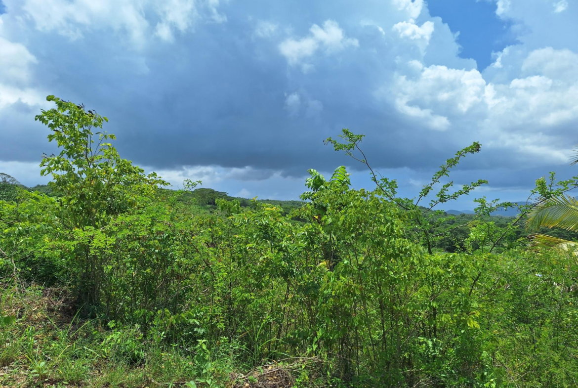 Seventh image of Hyde Park in Bog Walk, St. Catherine, Jamaica - property is For Sale