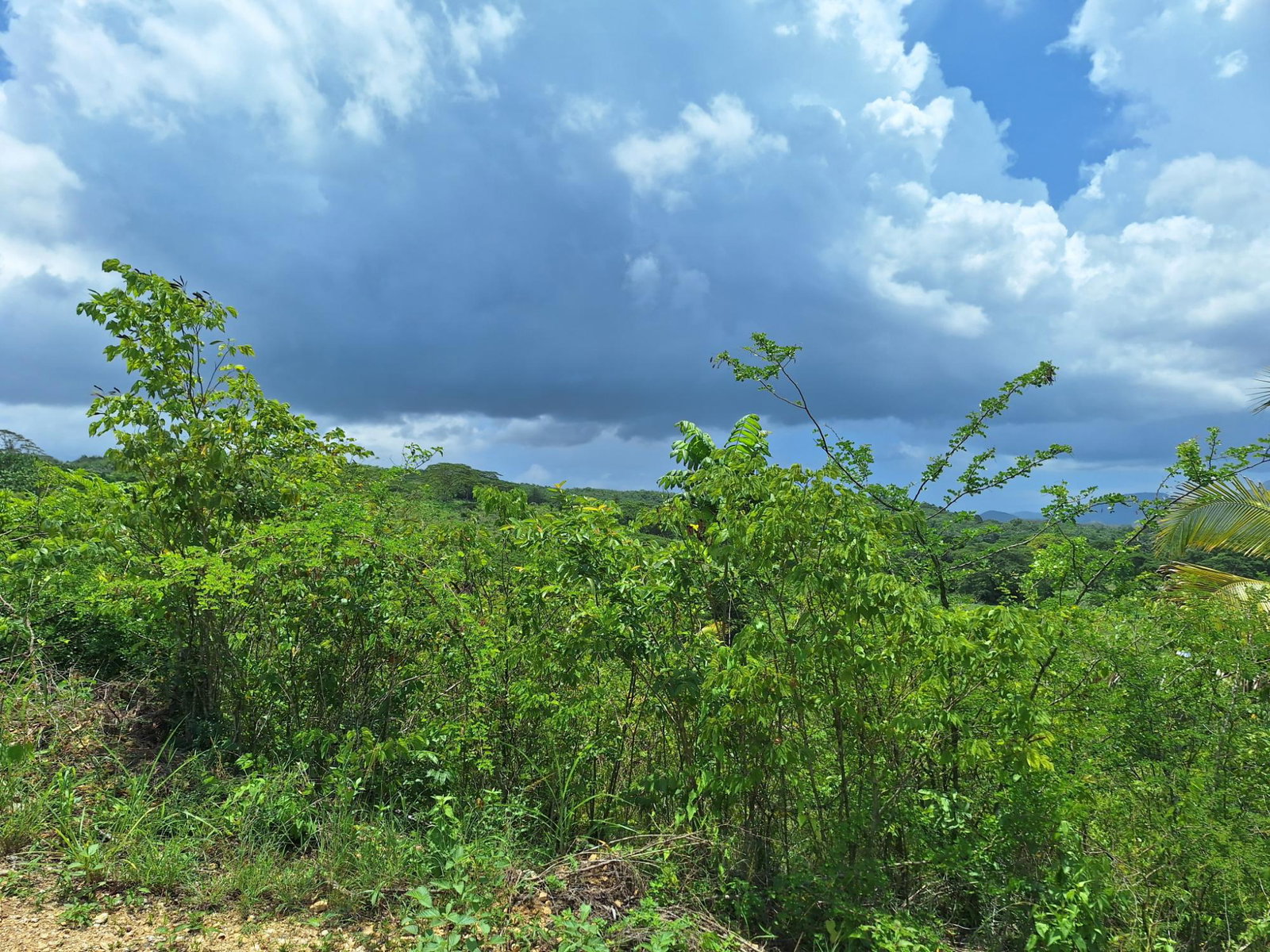 Seventh image of Hyde Park in Bog Walk, St. Catherine, Jamaica - property is For Sale