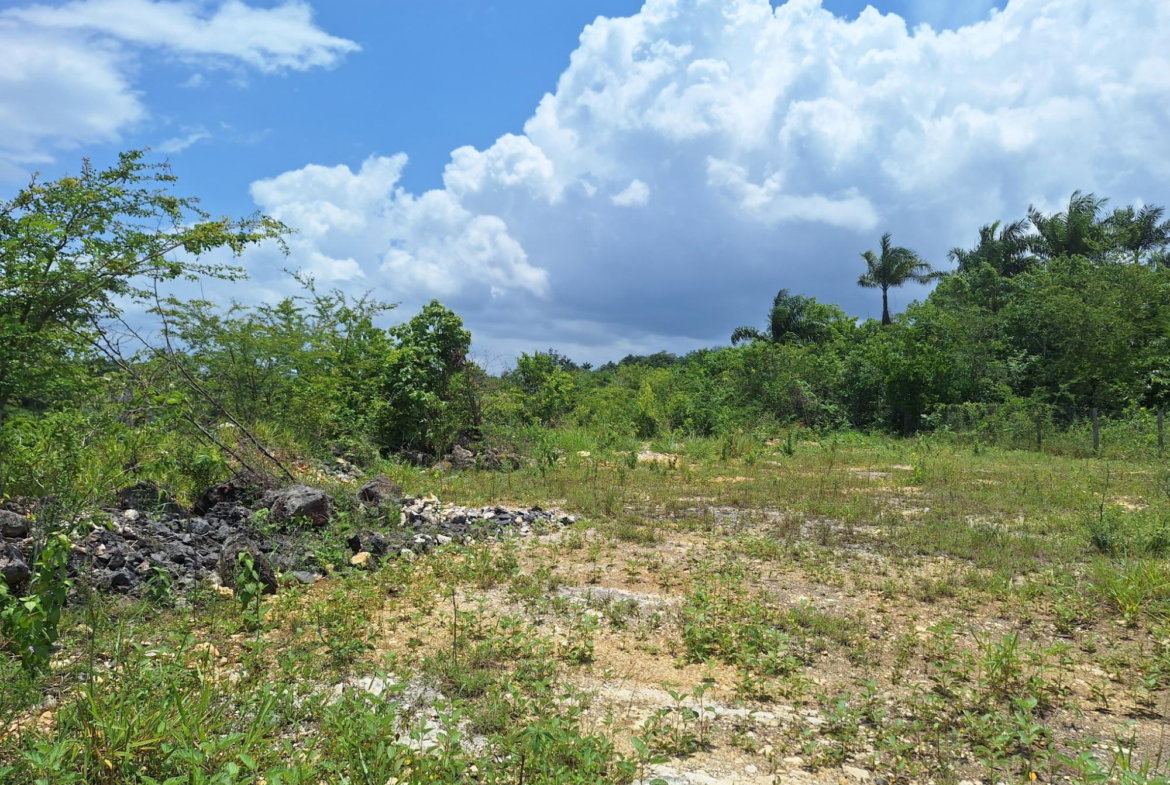 Eighth image of Hyde Park in Bog Walk, St. Catherine, Jamaica - property is For Sale