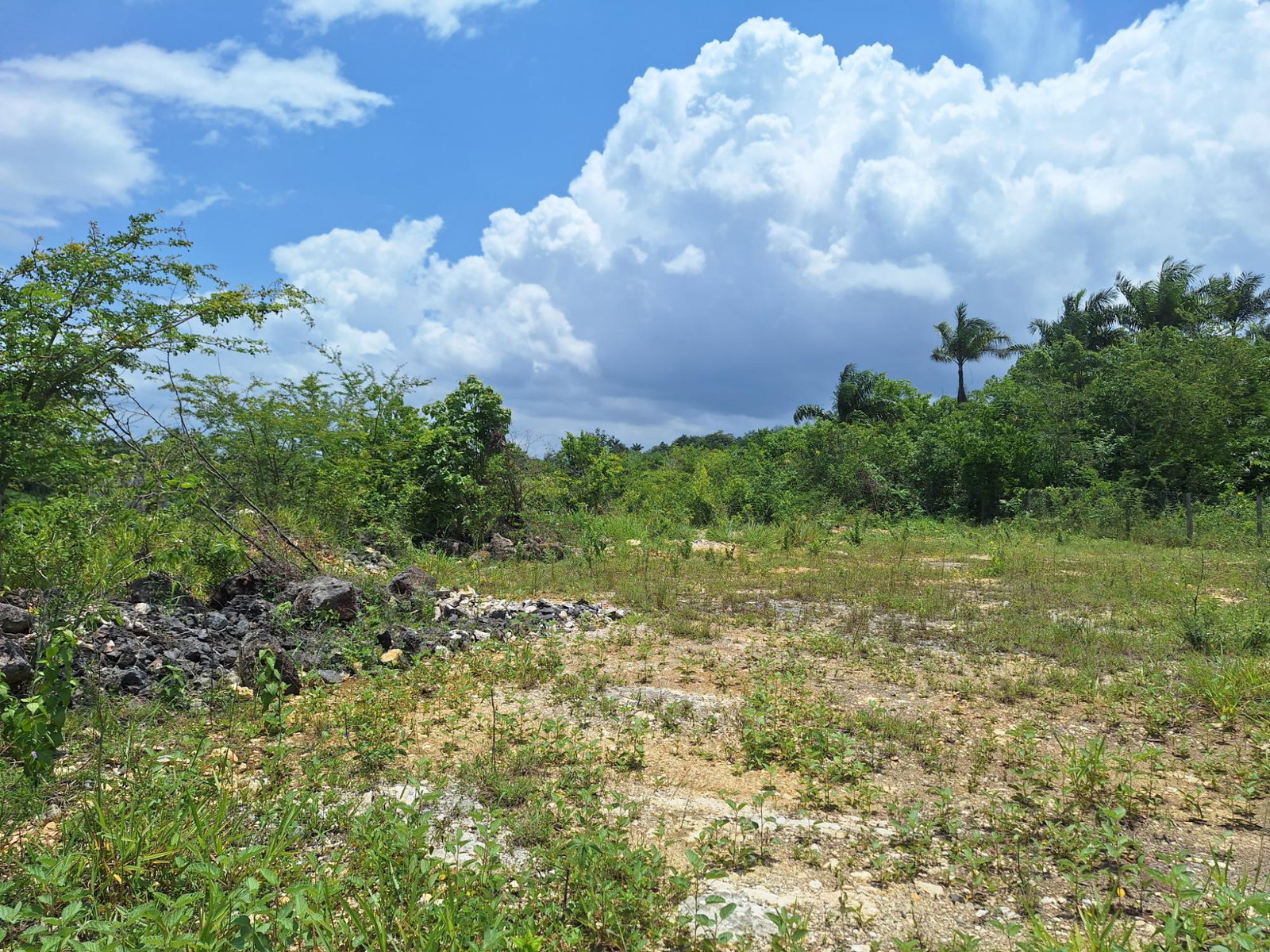 Eighth image of Hyde Park in Bog Walk, St. Catherine, Jamaica - property is For Sale