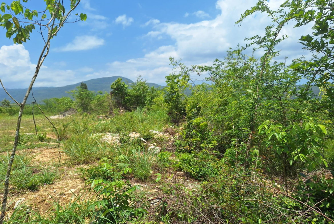 Ninth image of Hyde Park in Bog Walk, St. Catherine, Jamaica - property is For Sale